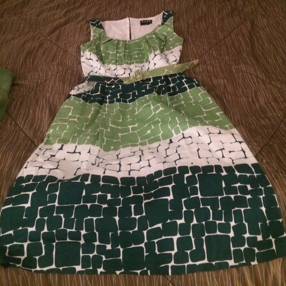 Green and White BCBG Paris Dress